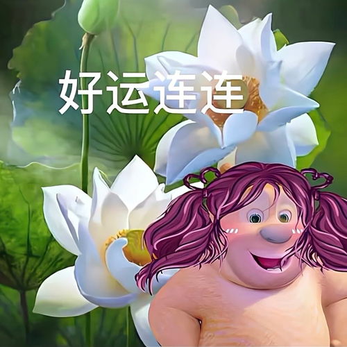 龙游县空调维修